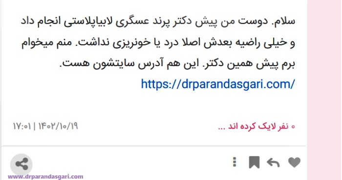 بهترین دکتر لابیاپلاستی در تهران