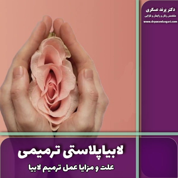 لابیاپلاستی ترمیمی